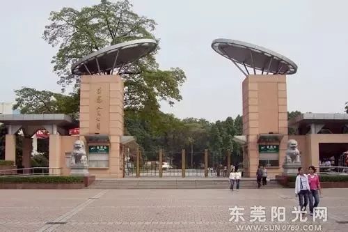 元宝山区图书馆新项目，现代化阅读空间的打造