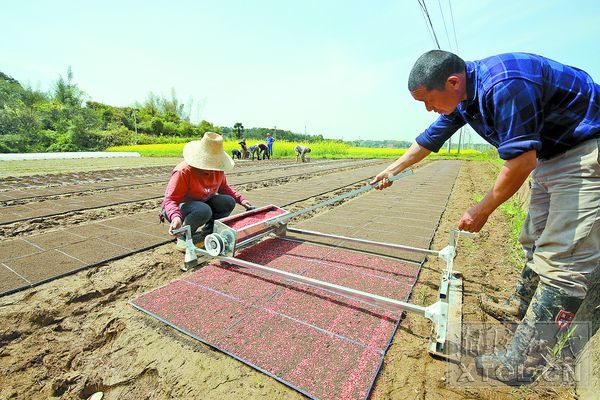 雨湖区农业农村局领导团队全新亮相，展望未来发展之路