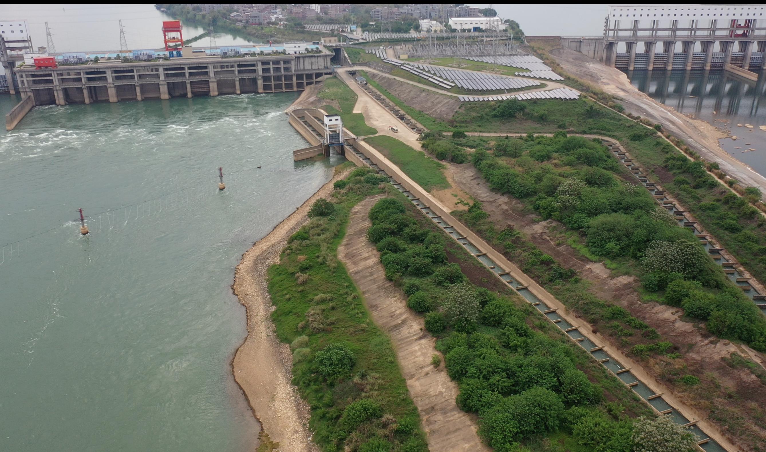 长洲区农业农村局最新动态报道