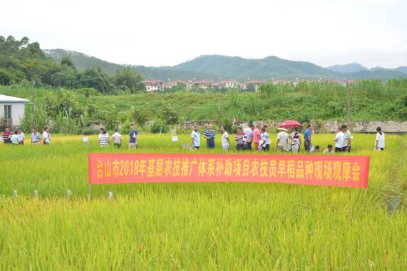 市辖区农业农村局新项目推动农业现代化助力乡村振兴发展