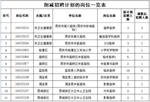 隆回县级托养福利事业单位发展规划展望