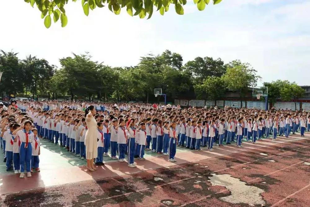 保亭黎族苗族自治县小学领导团队最新概览