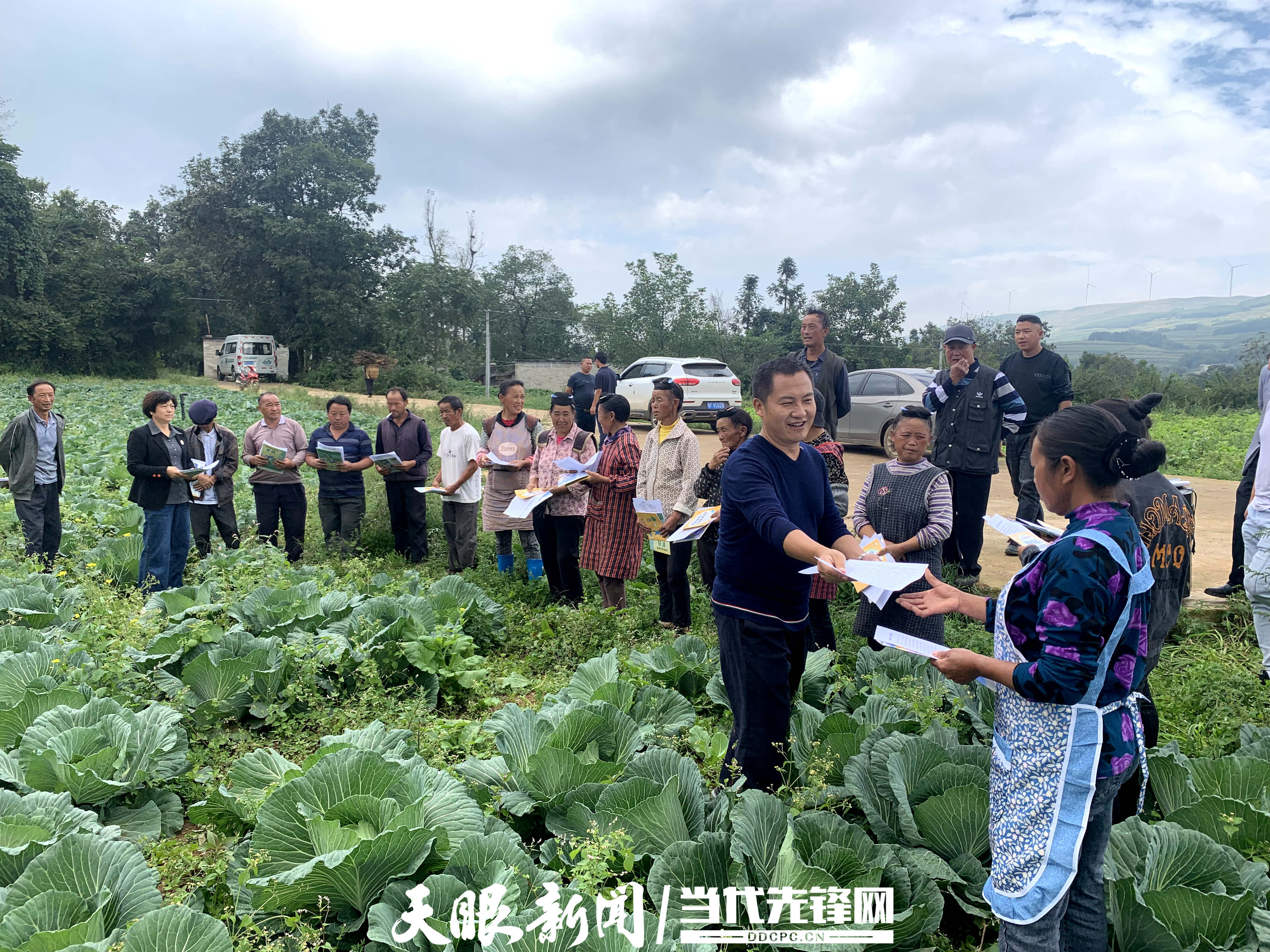 屏边苗族自治县农业农村局最新新闻报告