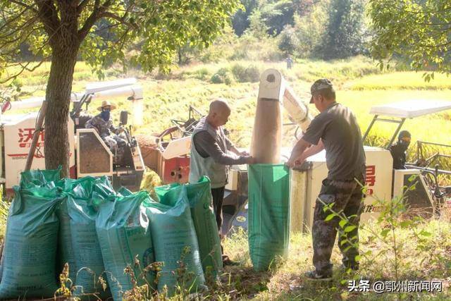 梁子湖区农业农村局领导团队最新概述