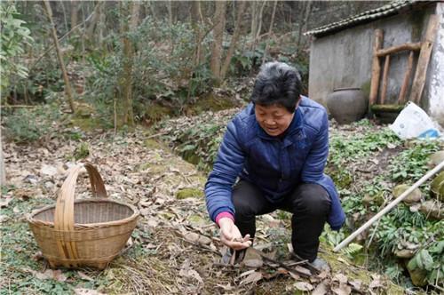 松滋市成人教育事业单位重塑与拓展成人教育新篇章项目启动