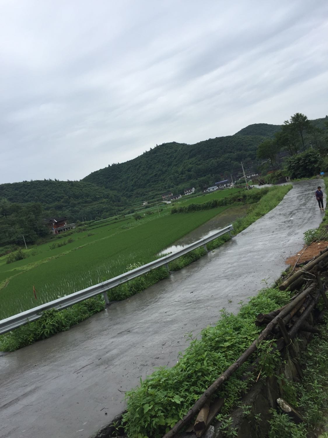 地二湾村民委员会天气预报更新通知