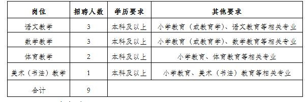 肇州县小学最新招聘启事概览