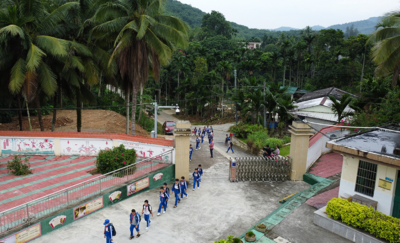 琼中黎族苗族自治县小学最新招聘公告概览