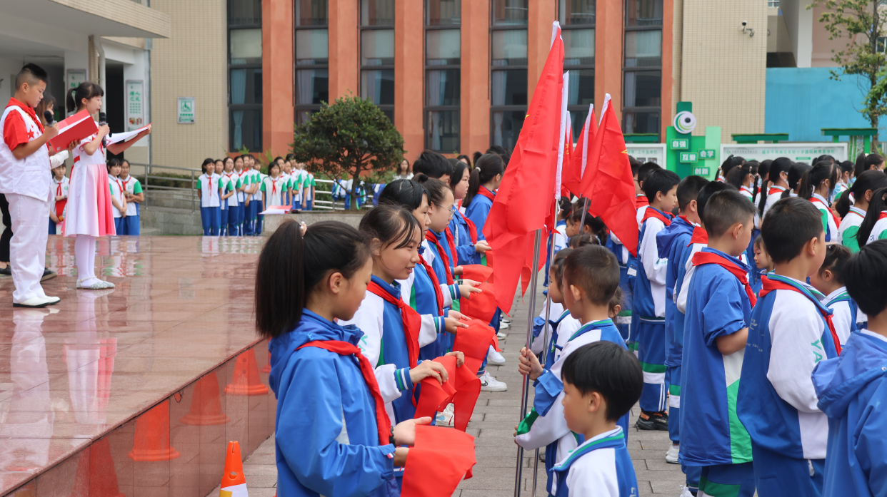 雨城区小学最新新闻