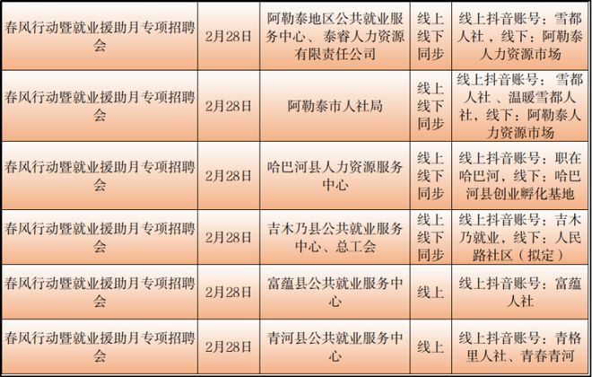 伽师县数据和政务服务局最新招聘信息及解读