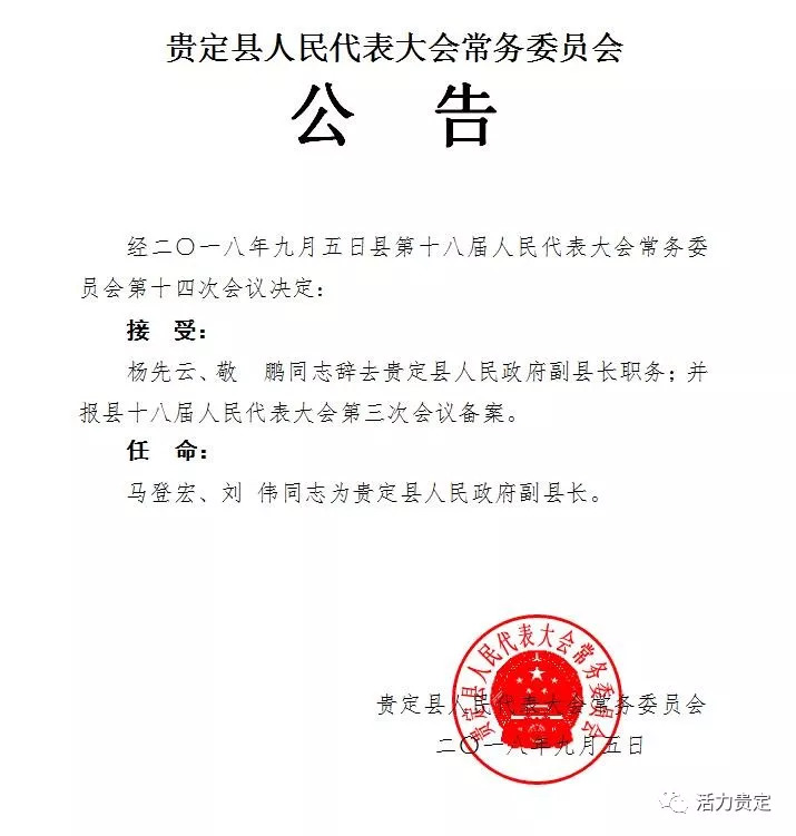 临桂县应急管理局人事任命，构建高效应急管理体系的核心力量