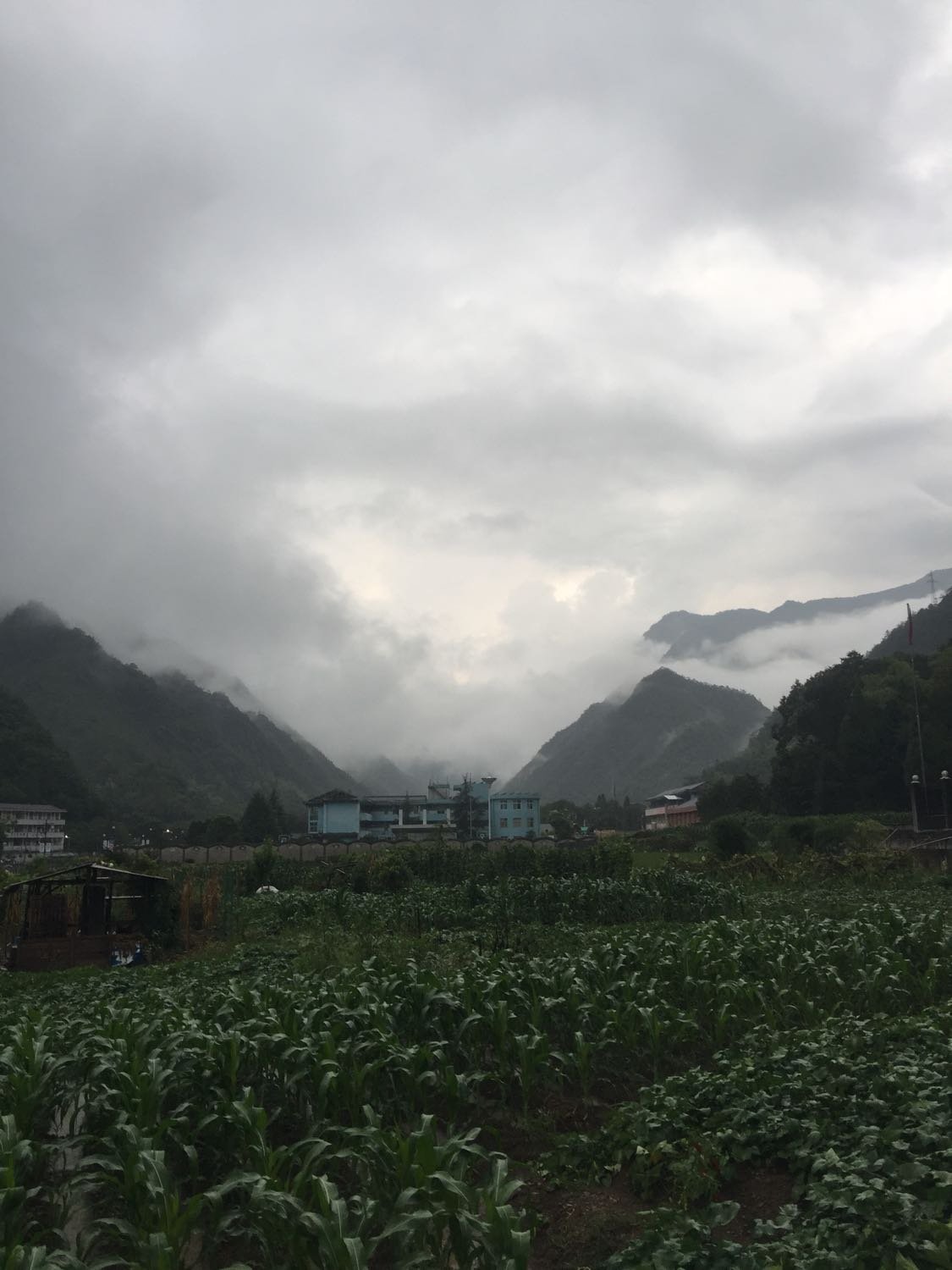 古局村天气预报更新通知