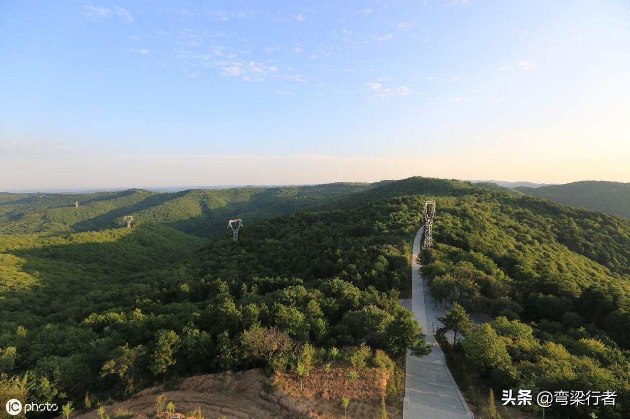 中湾林场发展规划概览，未来蓝图揭秘