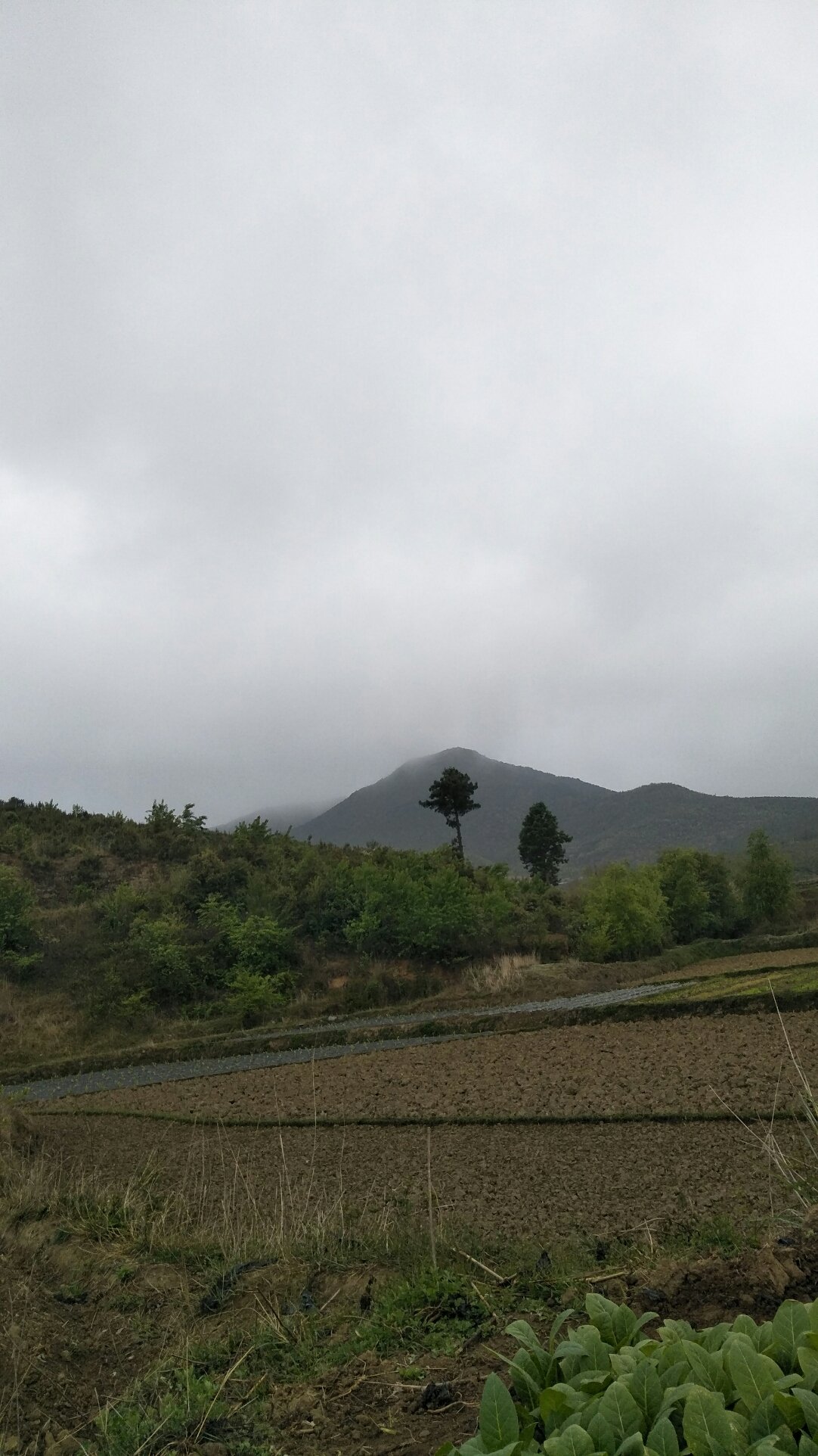 小路口镇天气预报更新通知