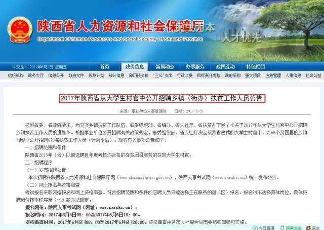 郑墩镇最新招聘信息全面解析