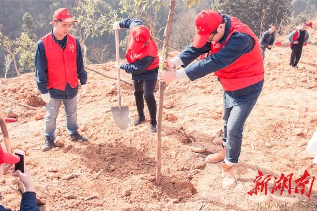 湘西土家族苗族自治州共青团市委最新动态，青春力量推动民族地区繁荣发展