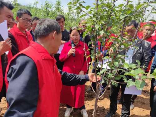 一心果树场最新交通动态报道