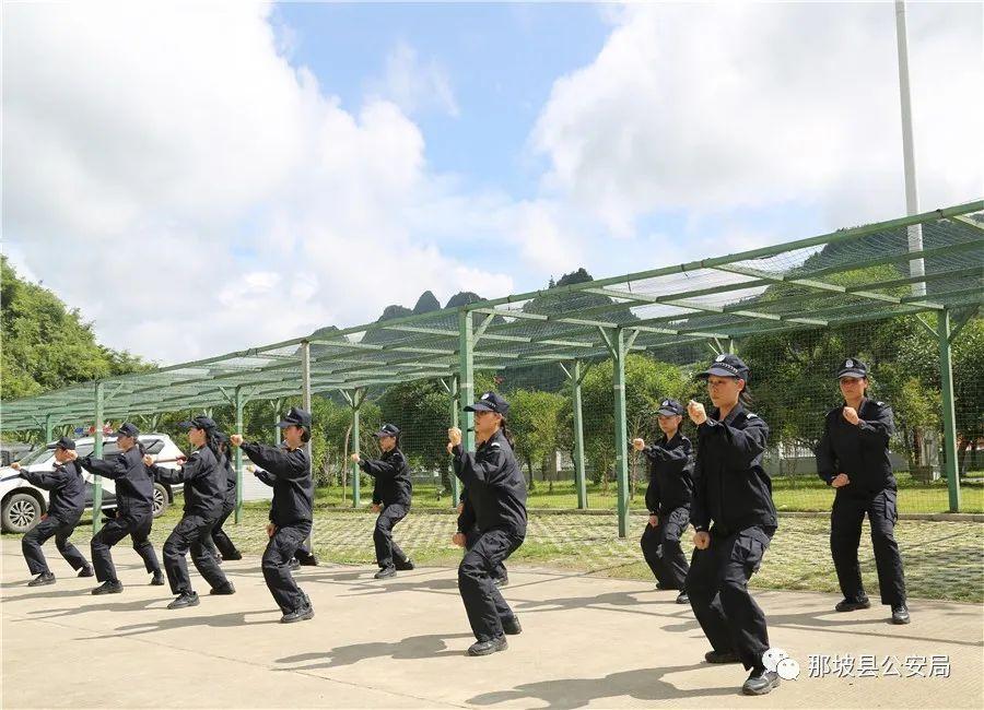 那坡村民委员会招聘启事全景概览