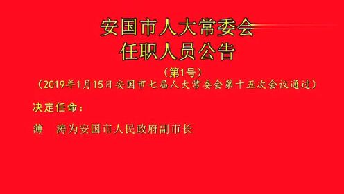 安国市人民政府办公室人事任命，塑造未来领导团队新篇章