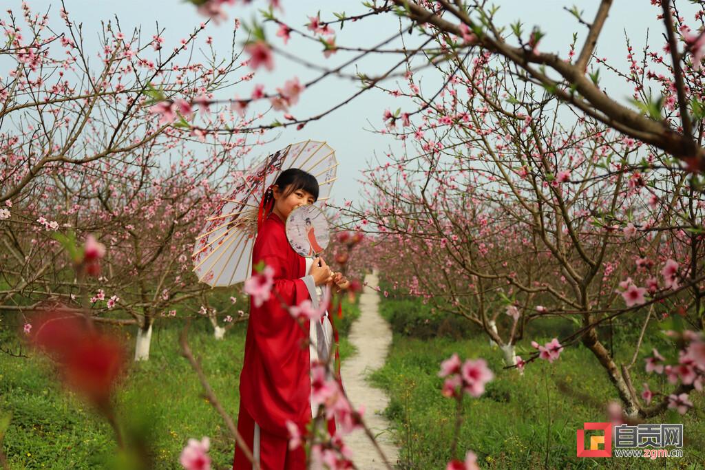 花儿村委会新领导引领下的篇章开启